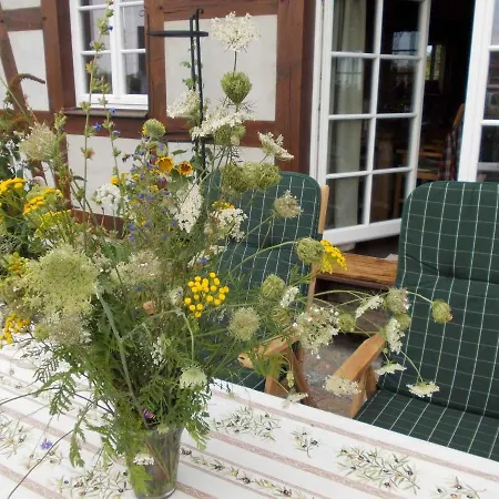 Ferienhaus In - Insel Ruegen 33030 *